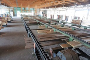 Reckart 11ft 6in x 112ft 4 Strand  Conveyor Deck (Log Lumber)